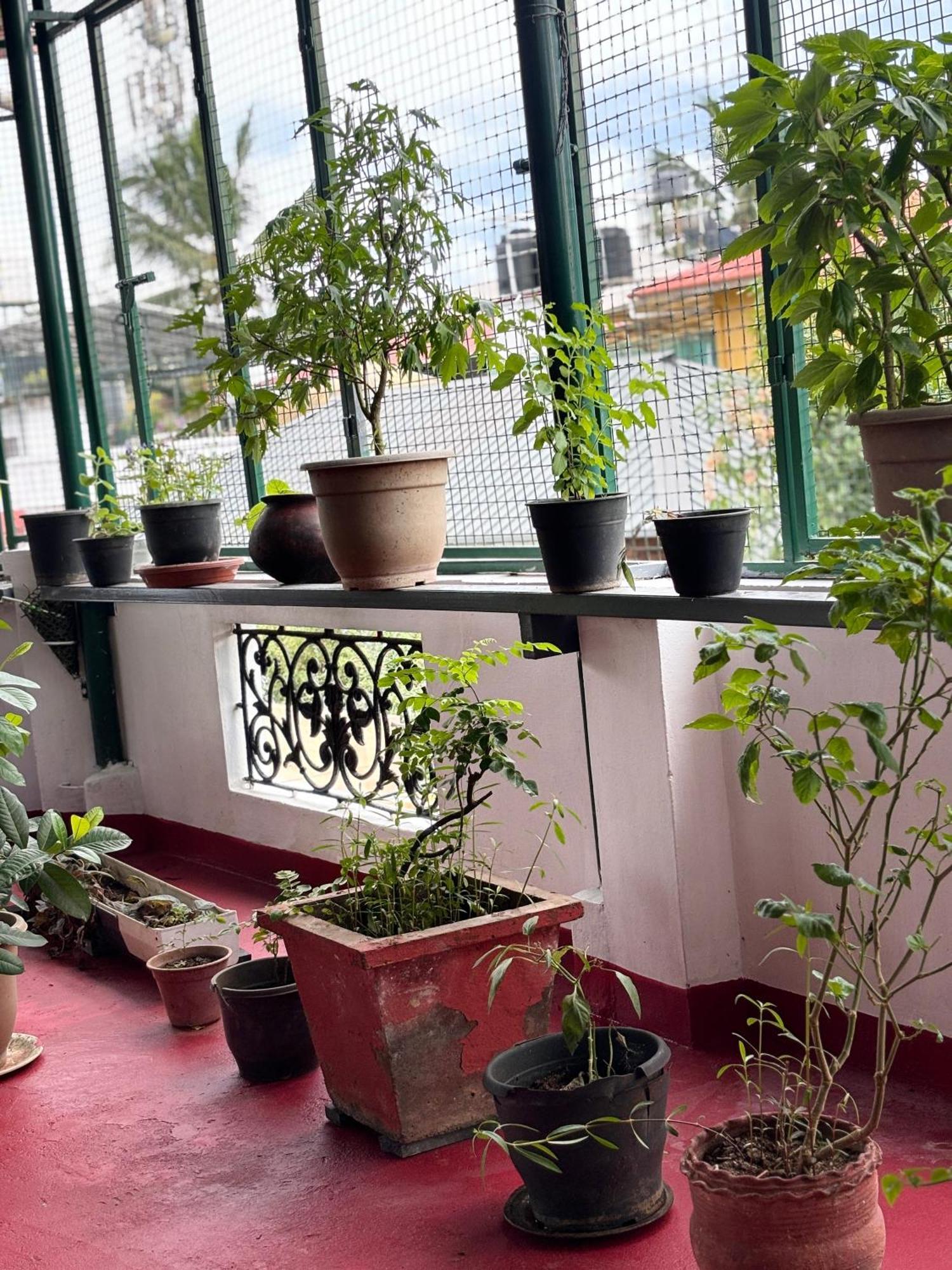 Beza Homestay Kochi Eksteriør billede